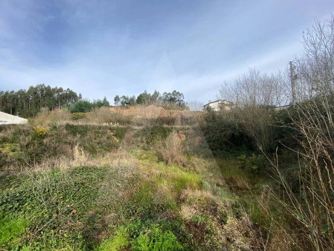 Terreno para Venda em Águeda e Borralha Foto 6