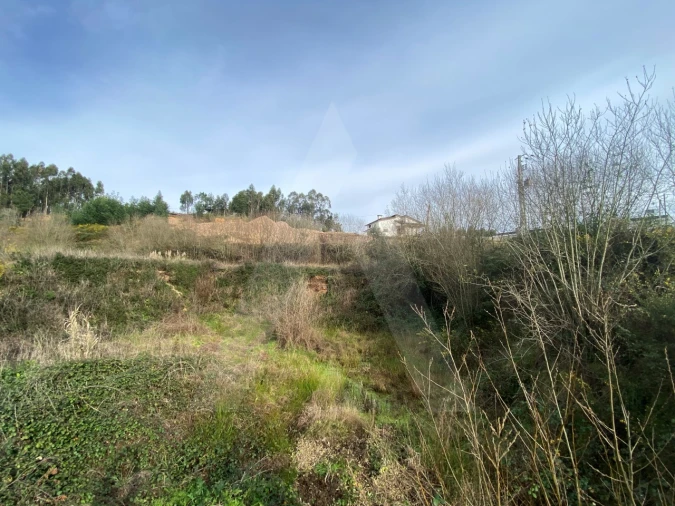 Terreno para Venda em Águeda e Borralha Foto 7