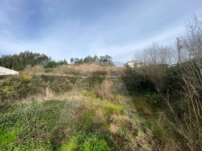 Terreno para Venda em Águeda e Borralha