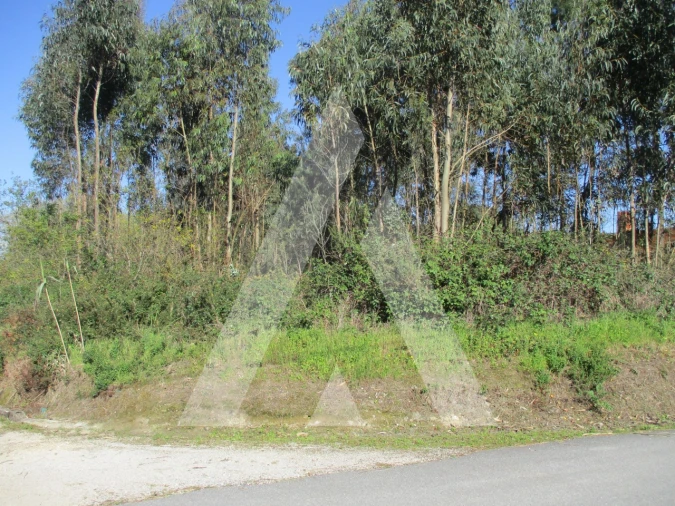 Terreno para Venda em Bustos, Troviscal e Mamarrosa Foto 2