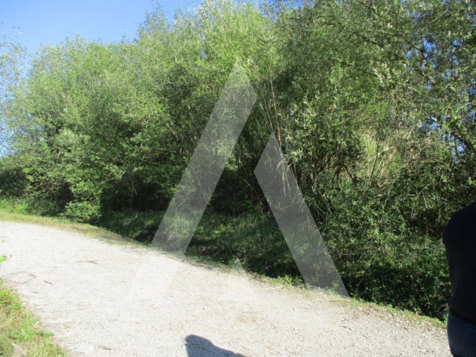 Terreno para Venda em Bustos, Troviscal e Mamarrosa Foto 5