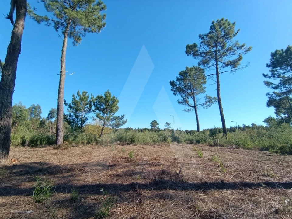 Terreno para Venda em Ílhavo (São Salvador) Foto 4