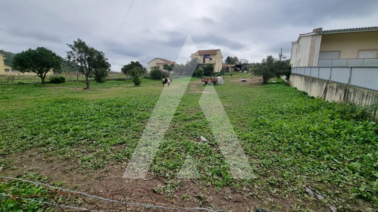 Terreno para Venda em Granja do Ulmeiro Foto 3