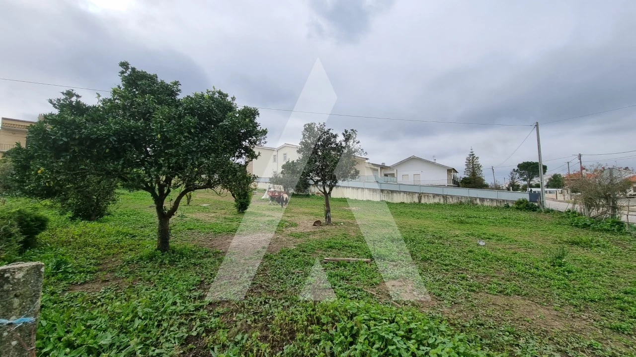 Terreno para Venda em Granja do Ulmeiro Foto 4