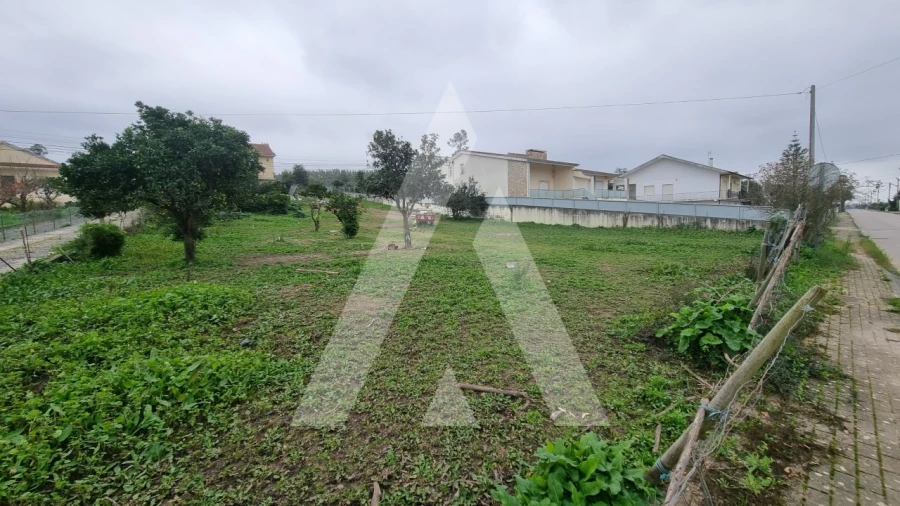 Terreno para Venda em Granja do Ulmeiro Foto 5