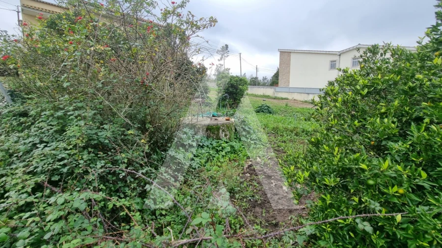 Terreno para Venda em Granja do Ulmeiro Foto 6