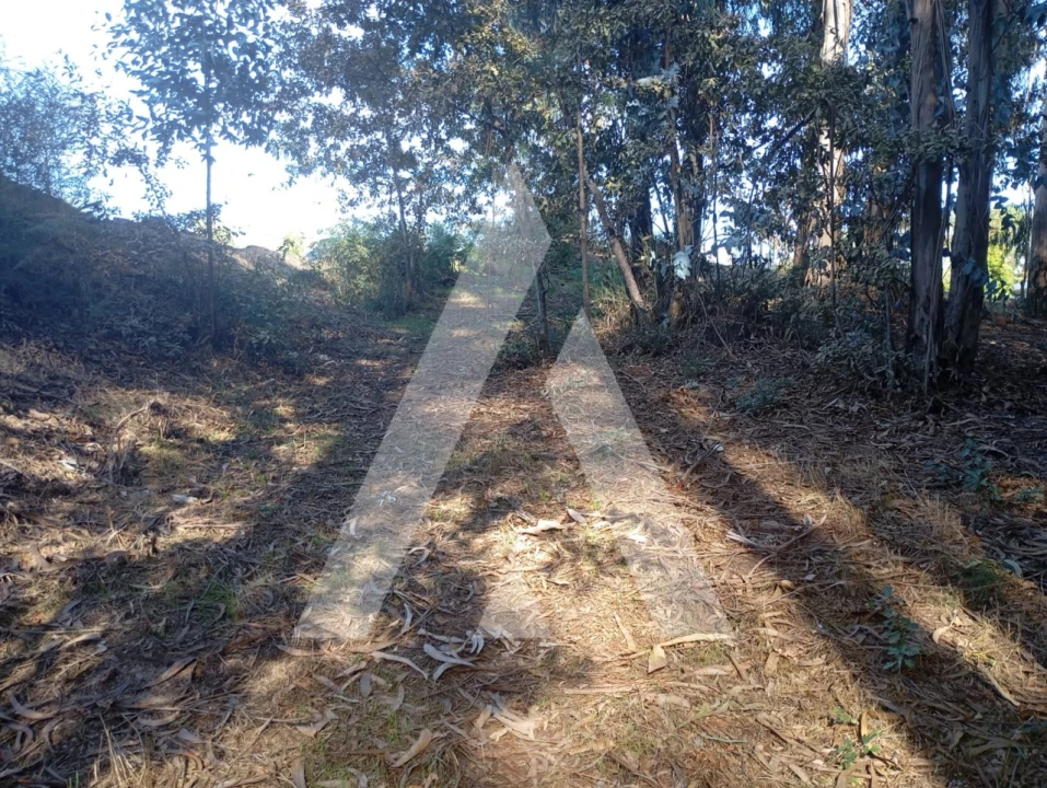 Terreno para Venda em Bustelo Foto 2