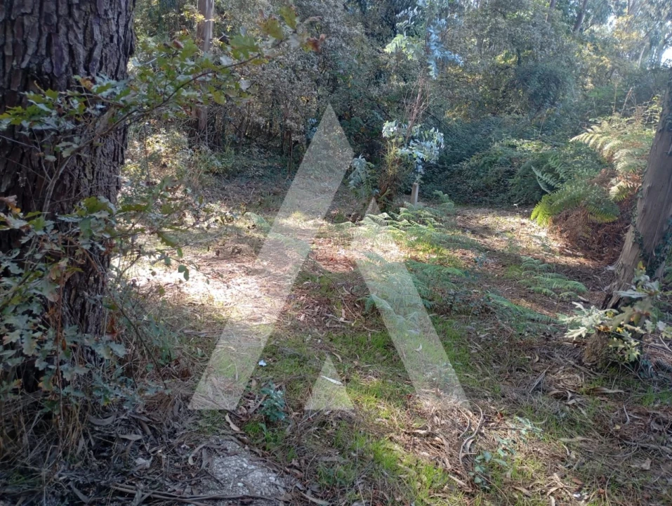 Terreno para Venda em Bustelo Foto 3