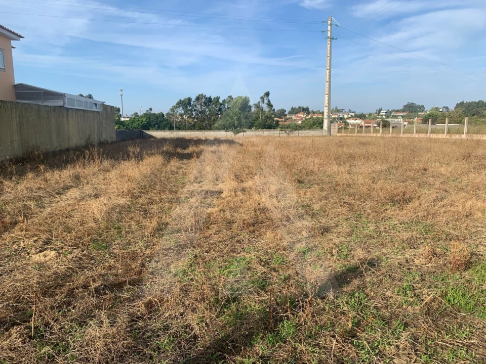 Terreno para Venda em Aradas Foto 5