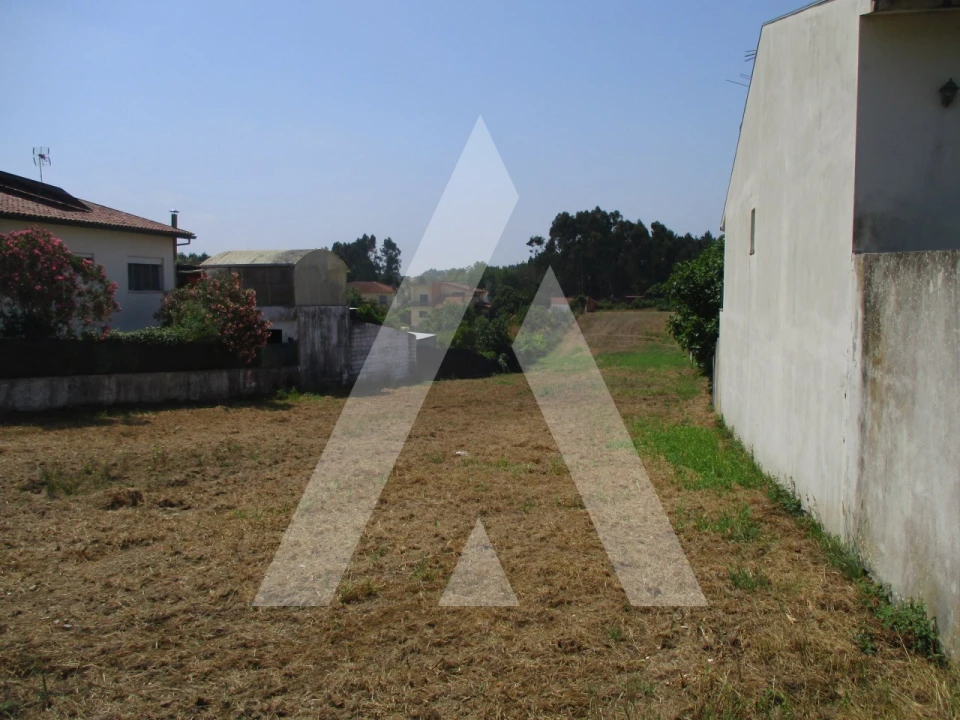 Terreno para Venda em Bustos, Troviscal e Mamarrosa Foto 6