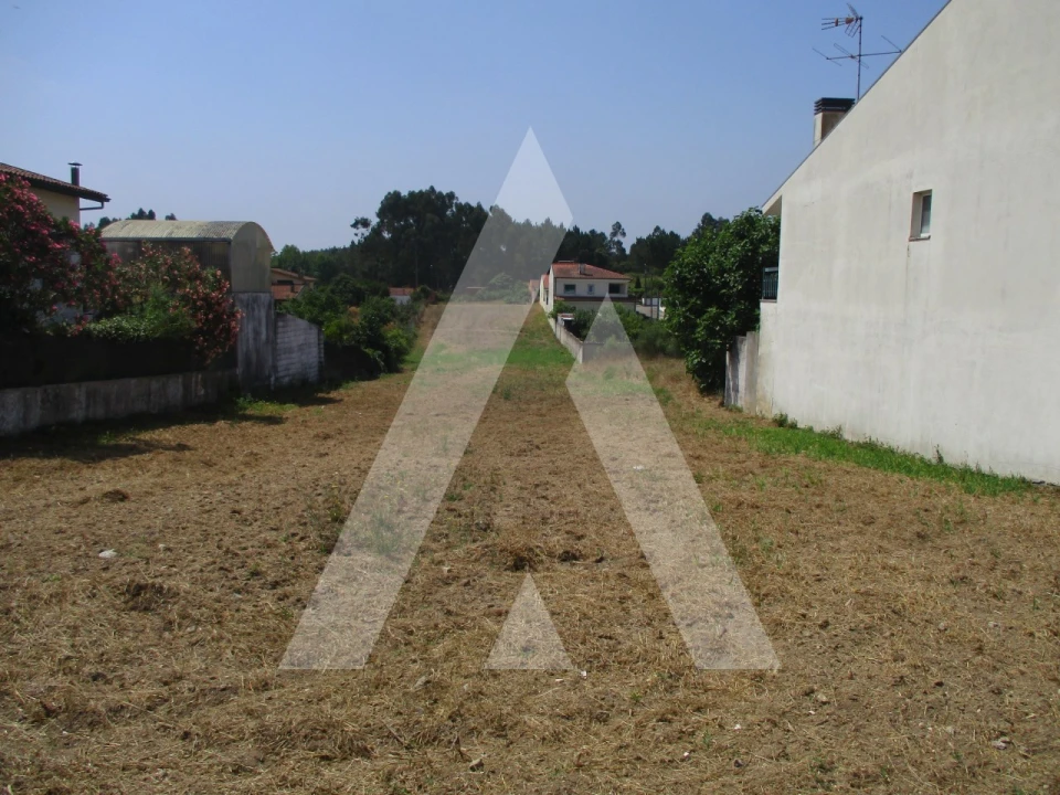 Terreno para Venda em Bustos, Troviscal e Mamarrosa Foto 7