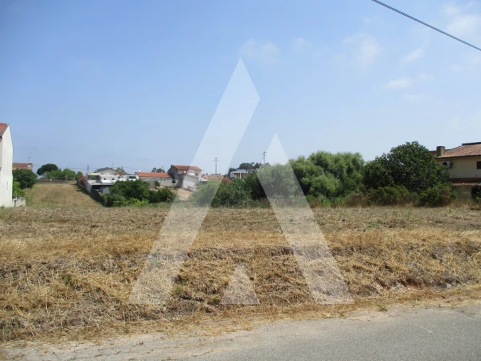 Terreno para Venda em Bustos, Troviscal e Mamarrosa Foto 1