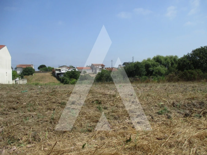 Terreno para Venda em Bustos, Troviscal e Mamarrosa Foto 2