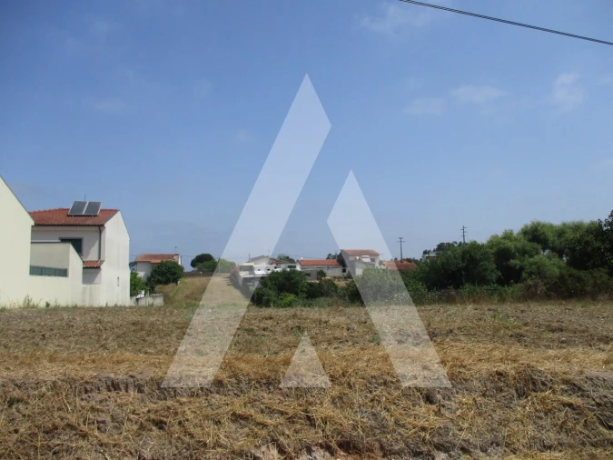 Terreno para Venda em Bustos, Troviscal e Mamarrosa Foto 3