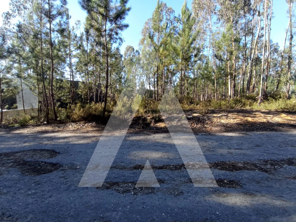 Terreno para Venda em Marrazes e Barosa Foto 1