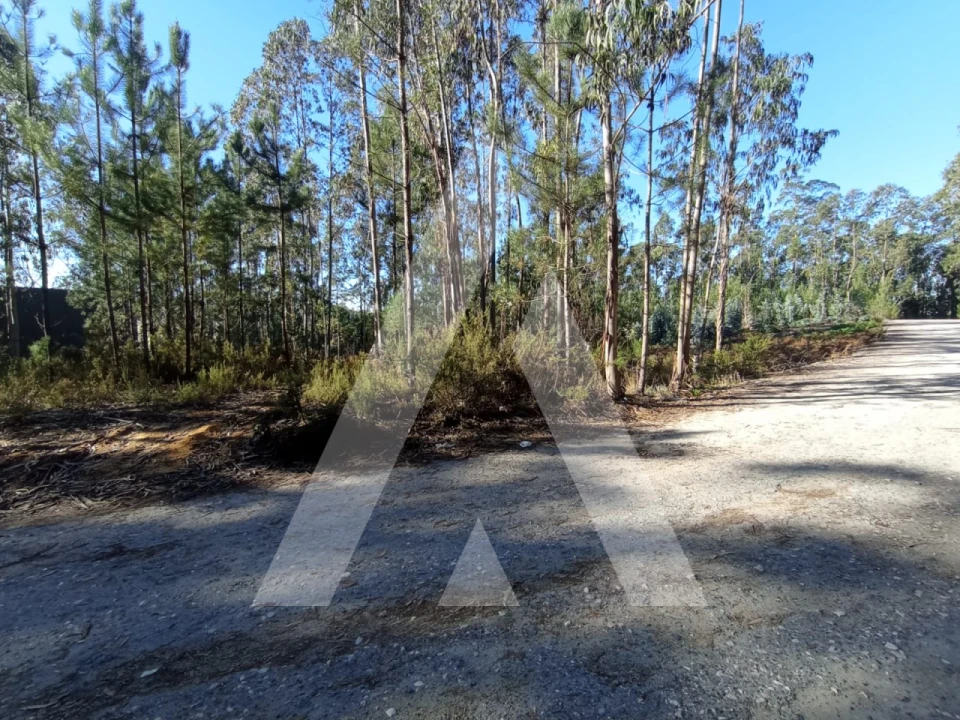 Terreno para Venda em Marrazes e Barosa Foto 2