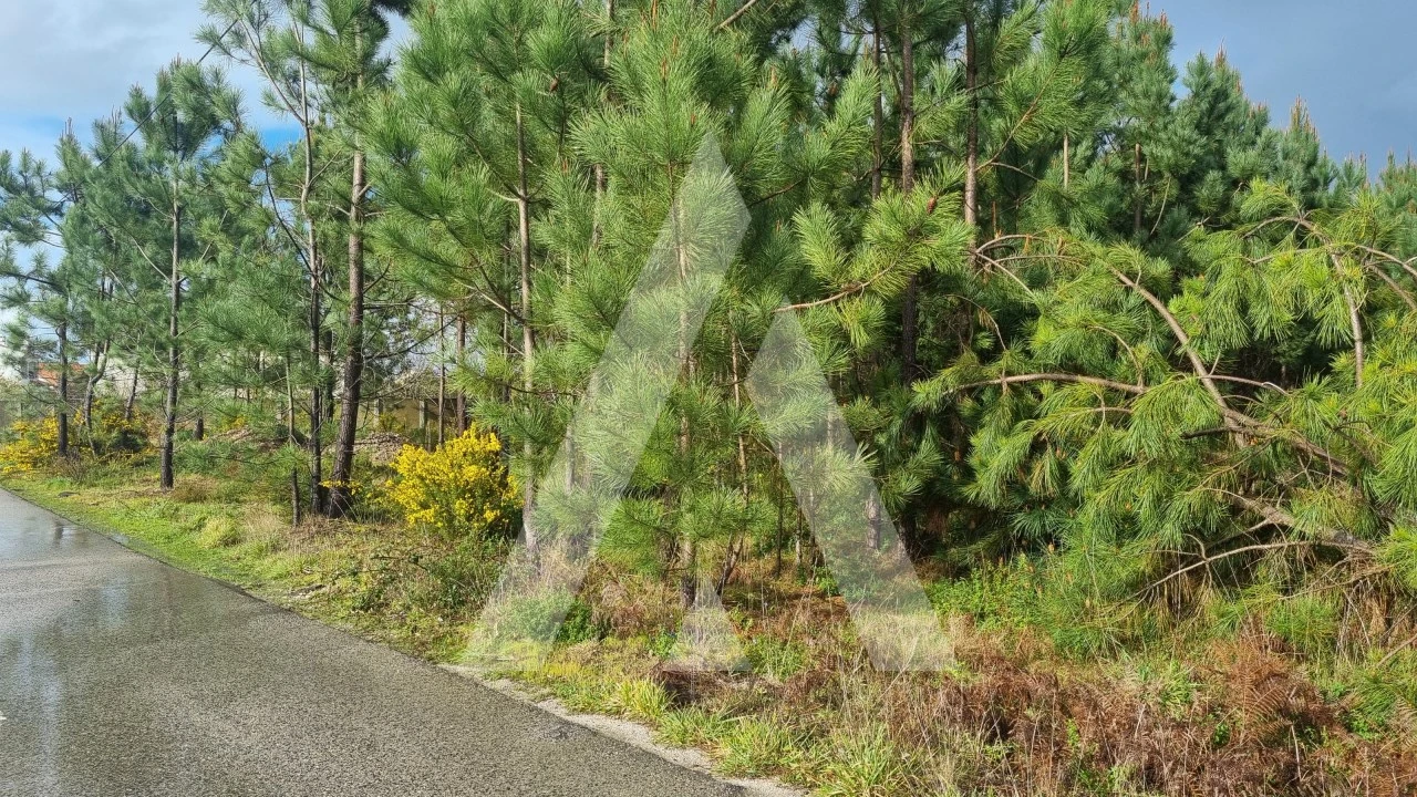 Terreno para Venda em Marinha Grande Foto 5