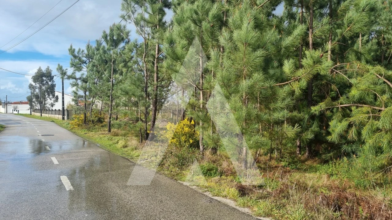 Terreno para Venda em Marinha Grande Foto 6