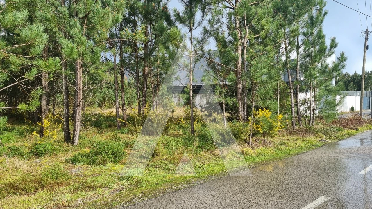 Terreno para Venda em Marinha Grande Foto 13