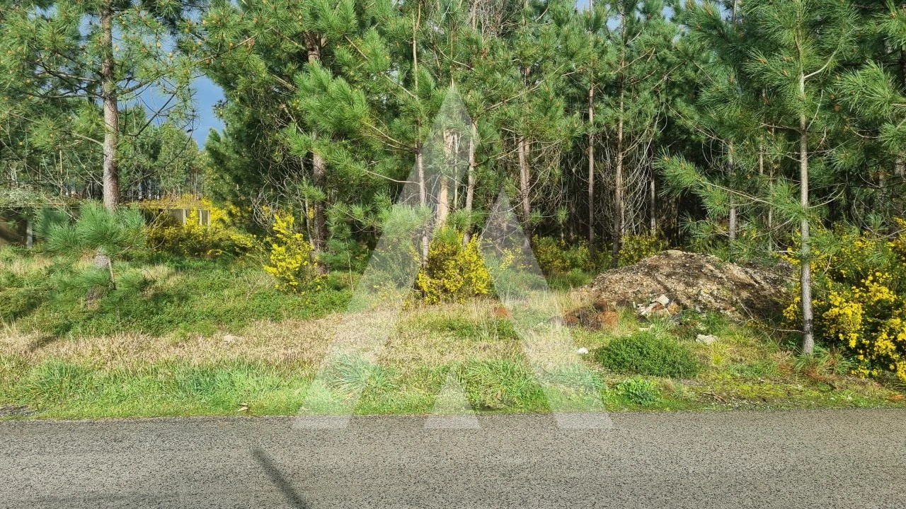 Terreno para Venda em Marinha Grande Foto 15