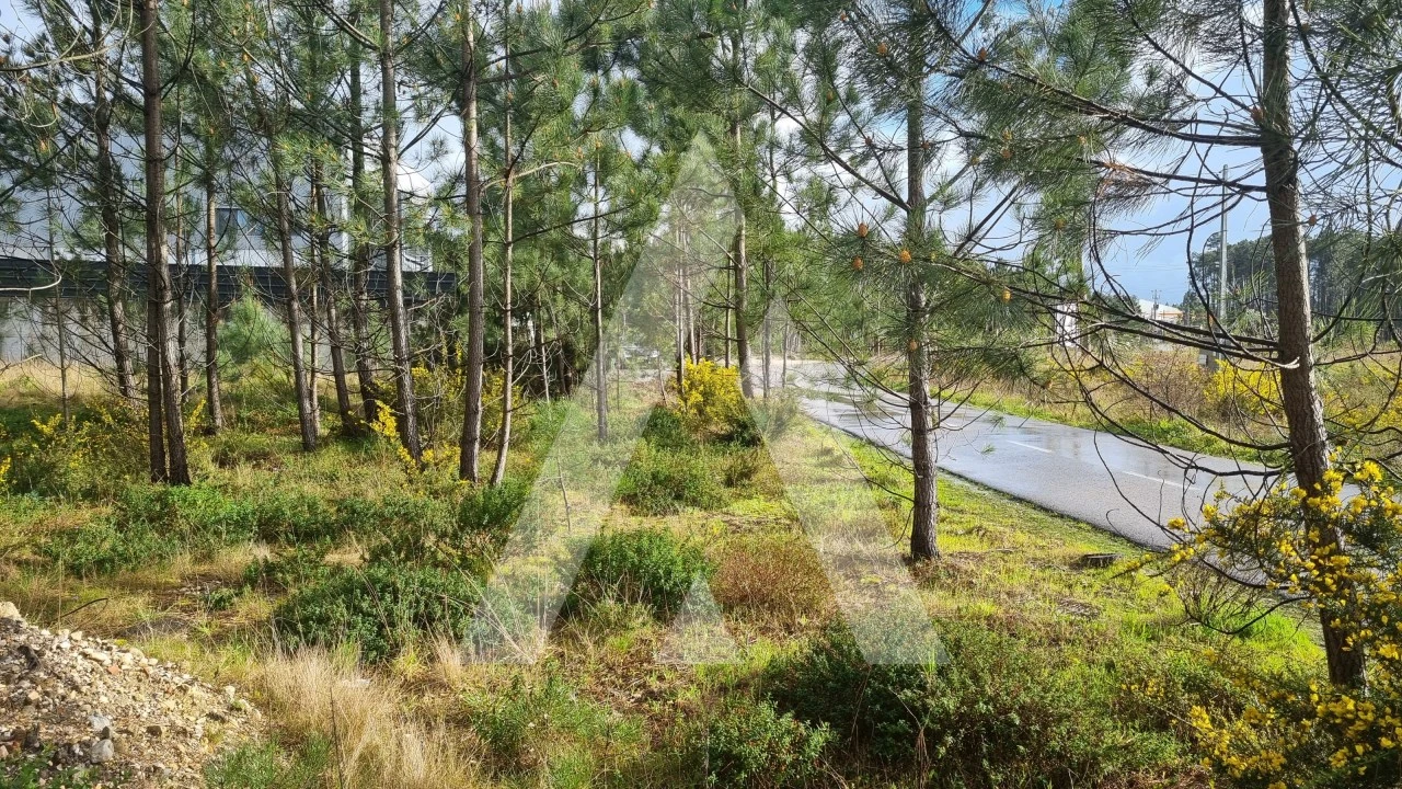 Terreno para Venda em Marinha Grande Foto 28