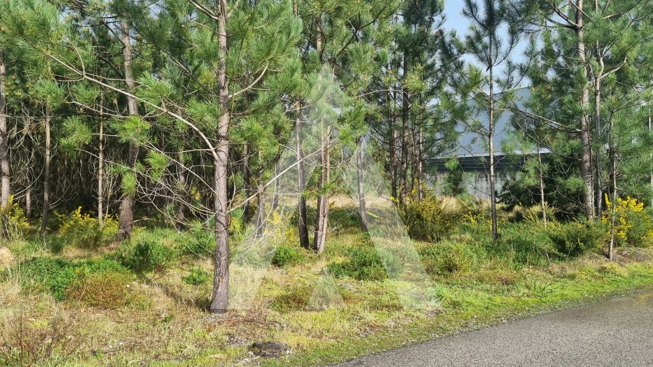 Terreno para Venda em Marinha Grande Foto 30