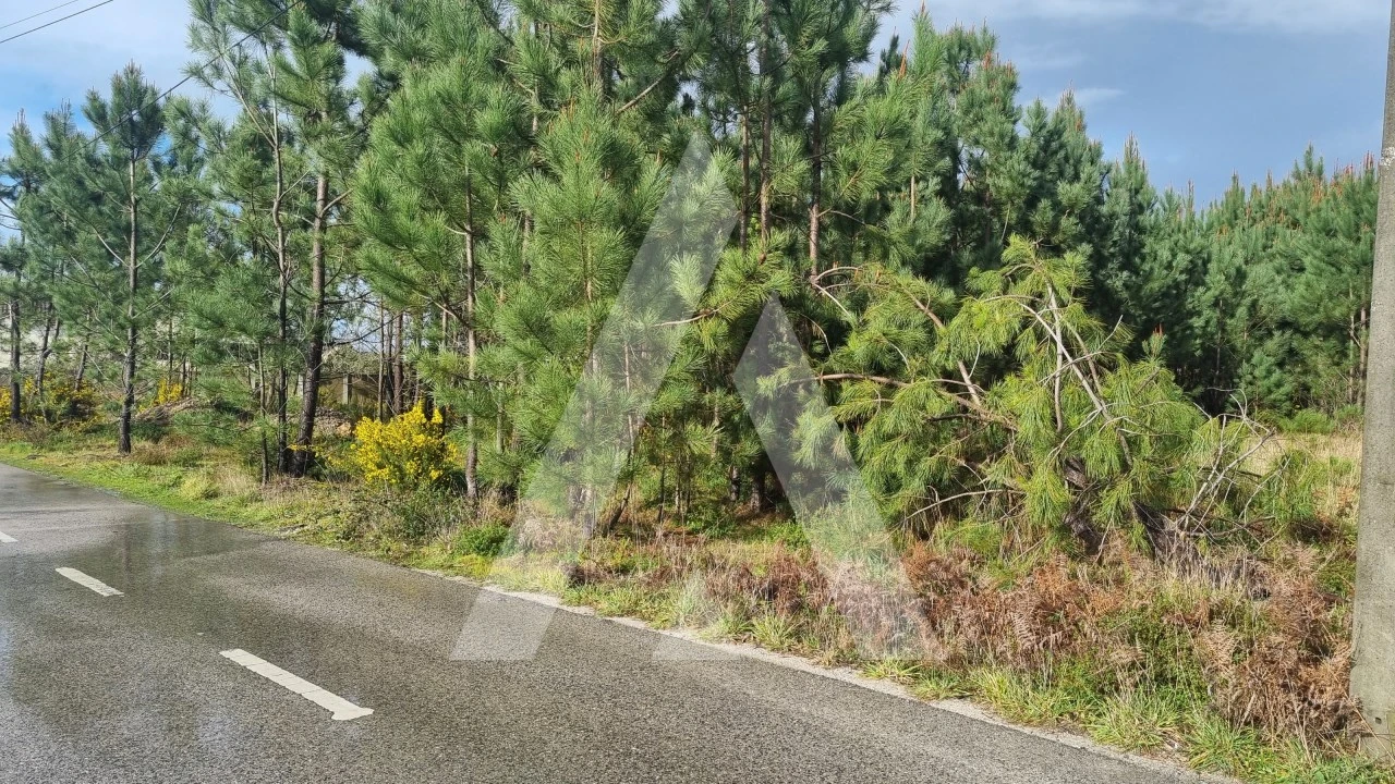 Terreno para Venda em Marinha Grande Foto 31