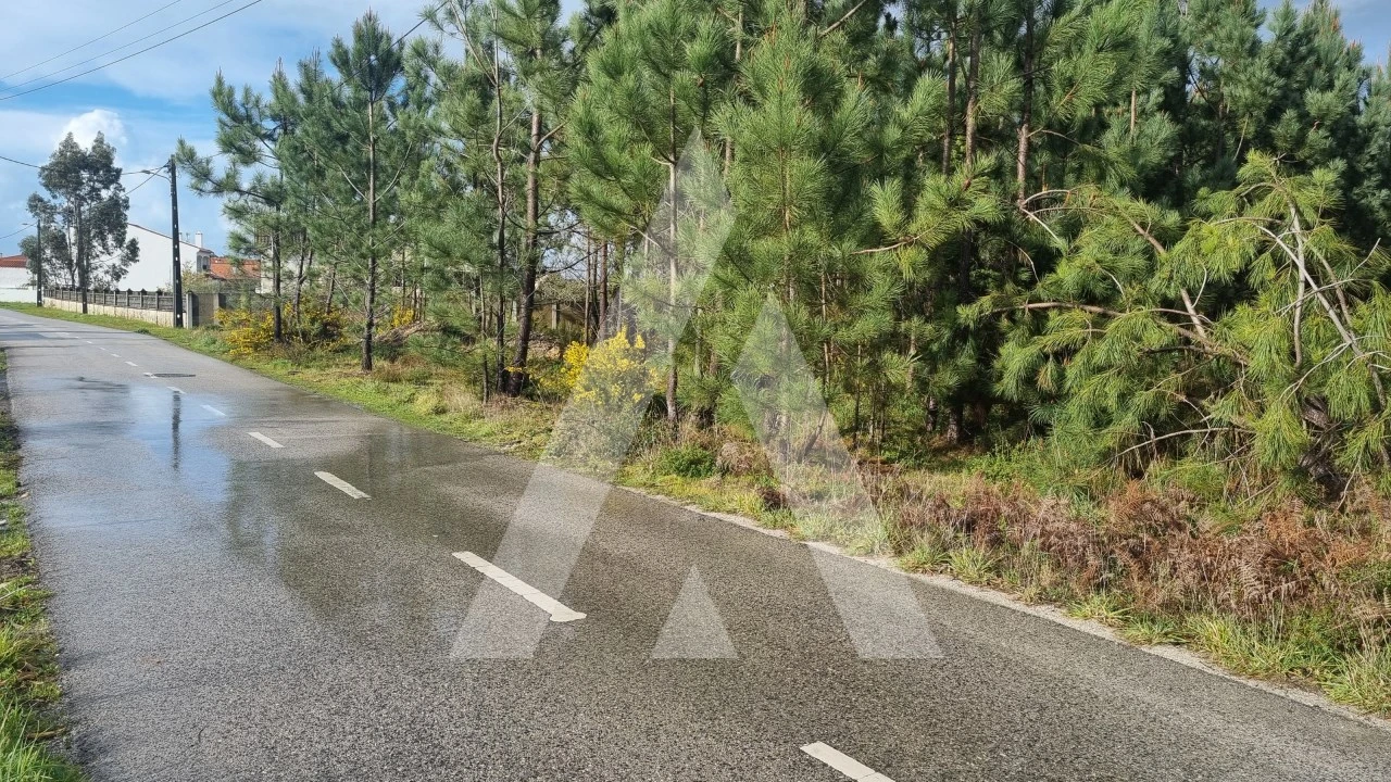 Terreno para Venda em Marinha Grande Foto 34