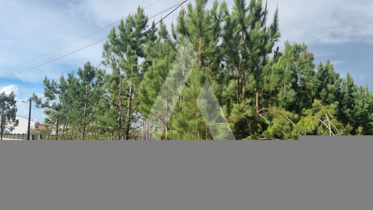 Terreno para Venda em Marinha Grande Foto 35