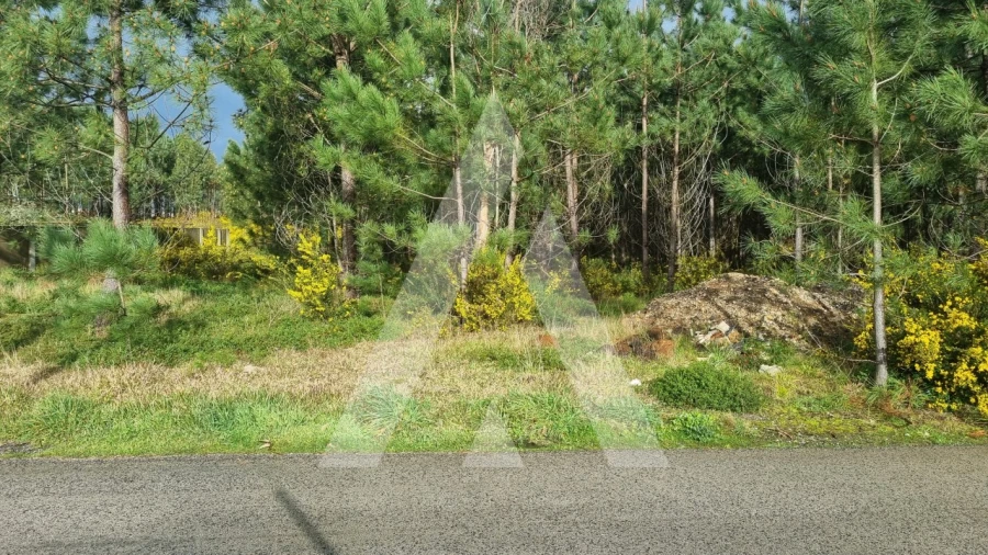 Terreno para Venda em Marinha Grande Foto 15