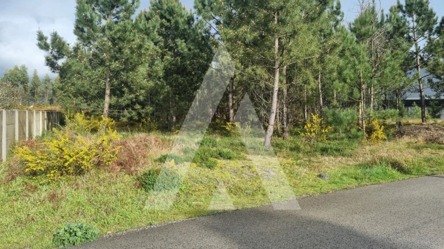 Terreno para Venda em Marinha Grande Foto 19