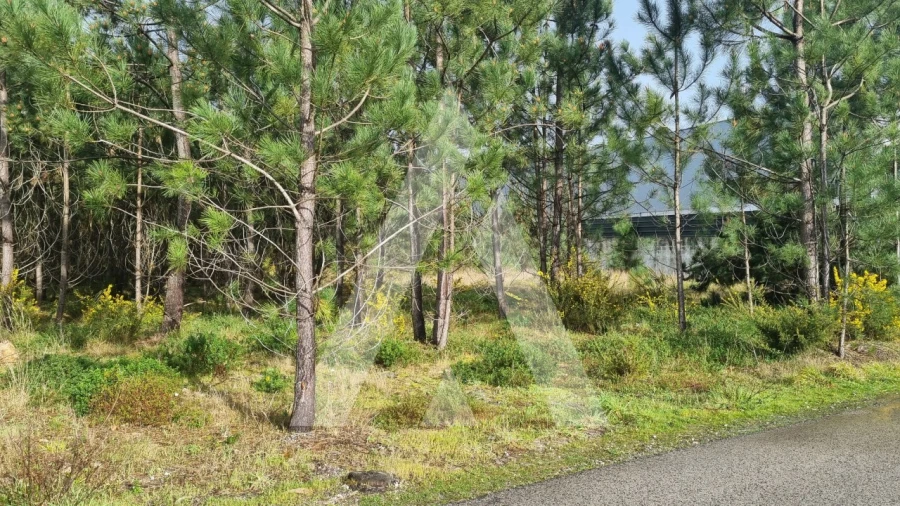 Terreno para Venda em Marinha Grande Foto 30
