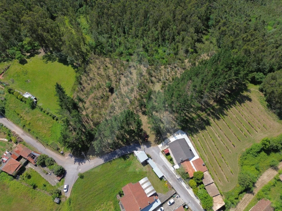 Terreno para Venda em Macinhata do Vouga Foto 6