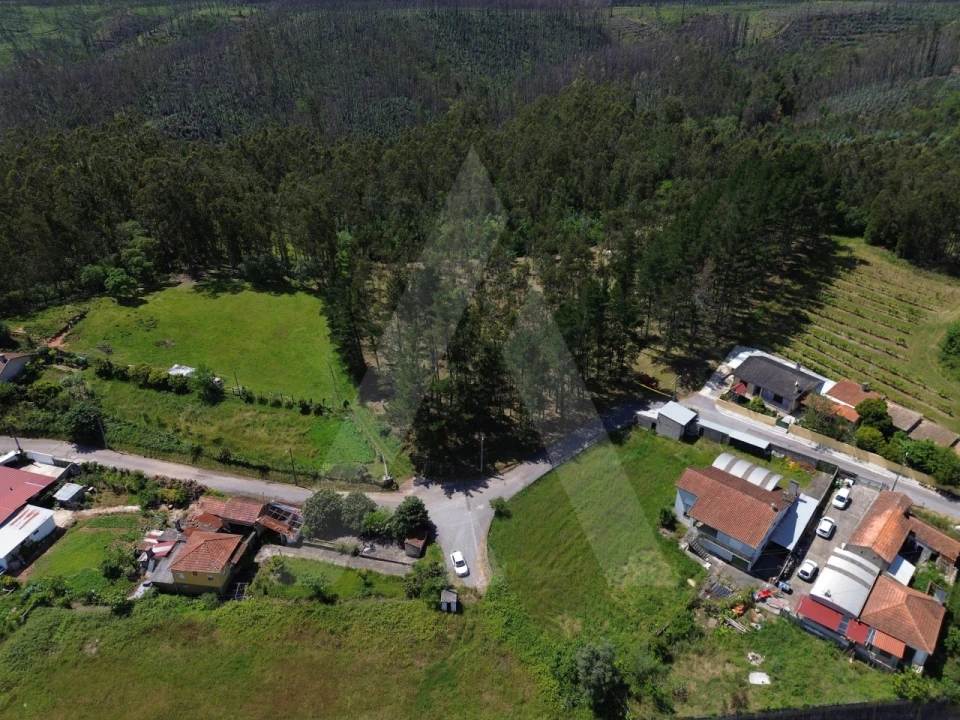 Terreno para Venda em Macinhata do Vouga Foto 9