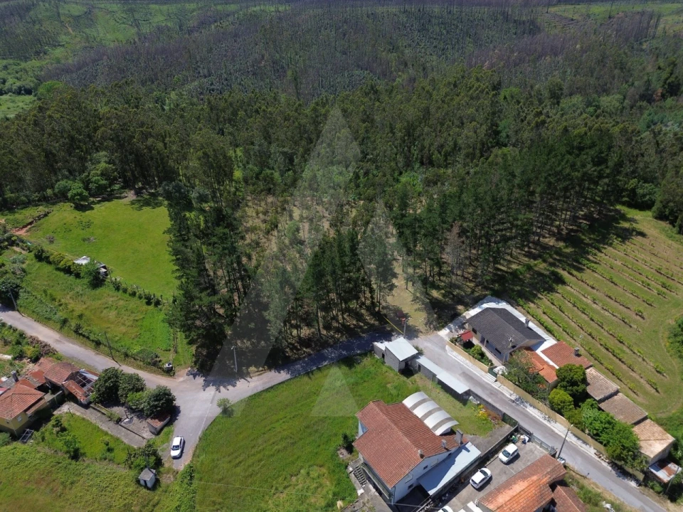Terreno para Venda em Macinhata do Vouga Foto 4
