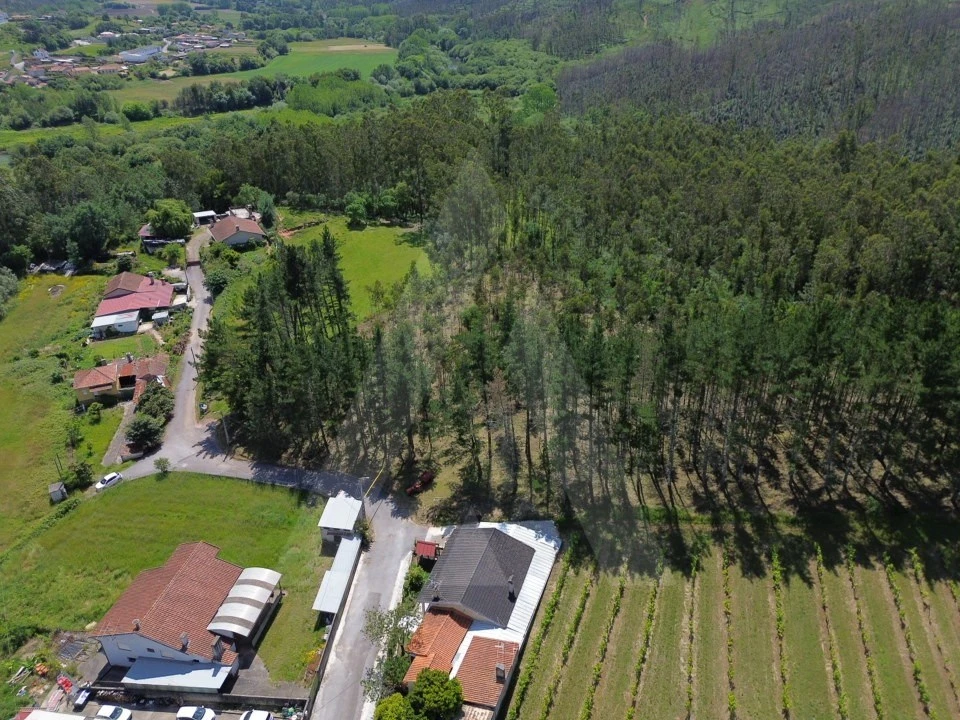 Terreno para Venda em Macinhata do Vouga Foto 12