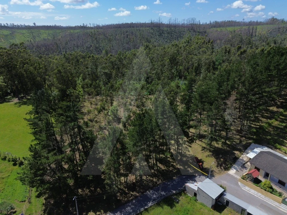 Terreno para Venda em Macinhata do Vouga Foto 7