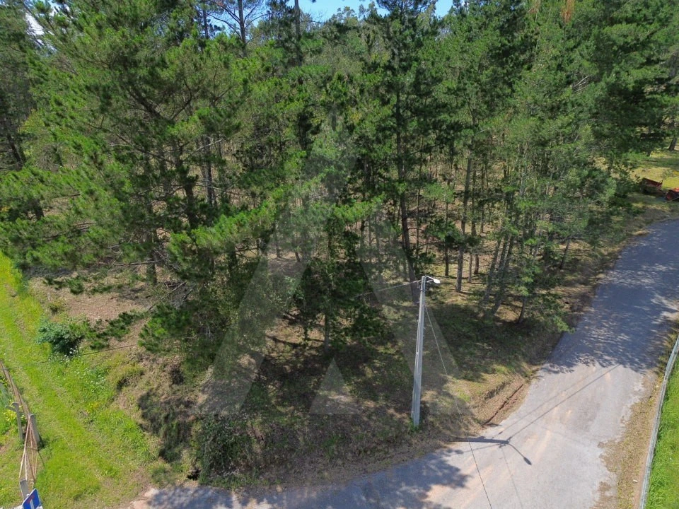 Terreno para Venda em Macinhata do Vouga Foto 14