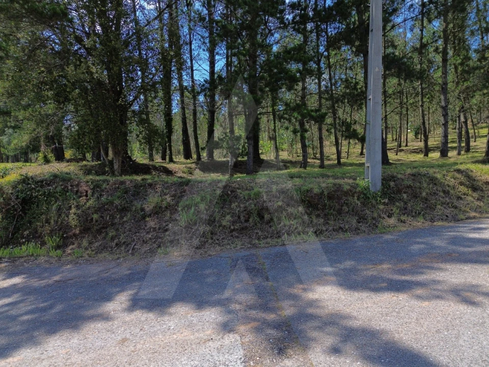 Terreno para Venda em Macinhata do Vouga Foto 10
