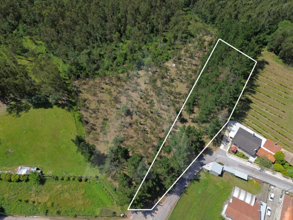 Terreno para Venda em Macinhata do Vouga Foto 3