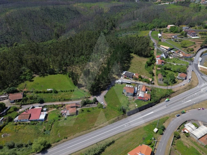 Terreno para Venda em Macinhata do Vouga Foto 2
