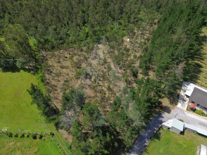 Terreno para Venda em Macinhata do Vouga Foto 5