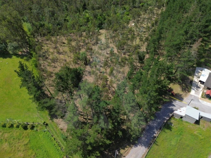 Terreno para Venda em Macinhata do Vouga Foto 11