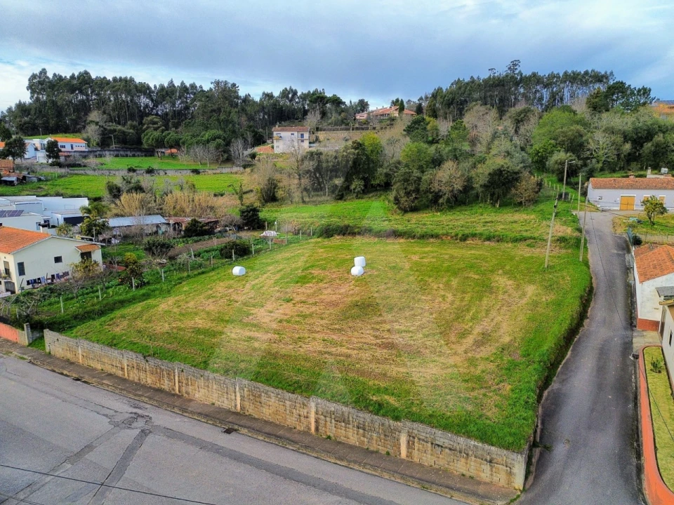 Terreno para Venda em São João de Loure e Frossos Foto 1