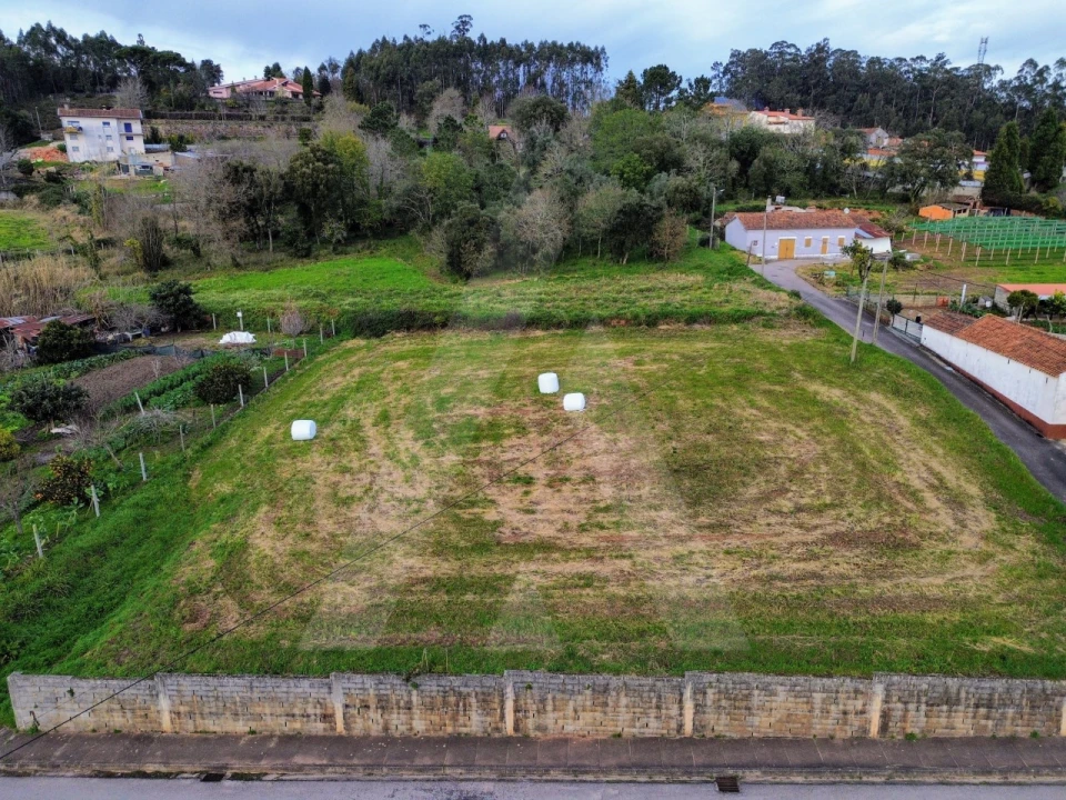 Terreno para Venda em São João de Loure e Frossos Foto 4