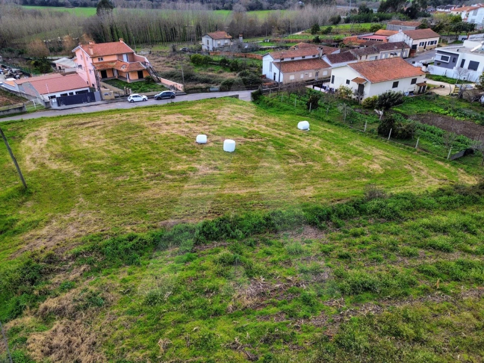 Terreno para Venda em São João de Loure e Frossos Foto 11