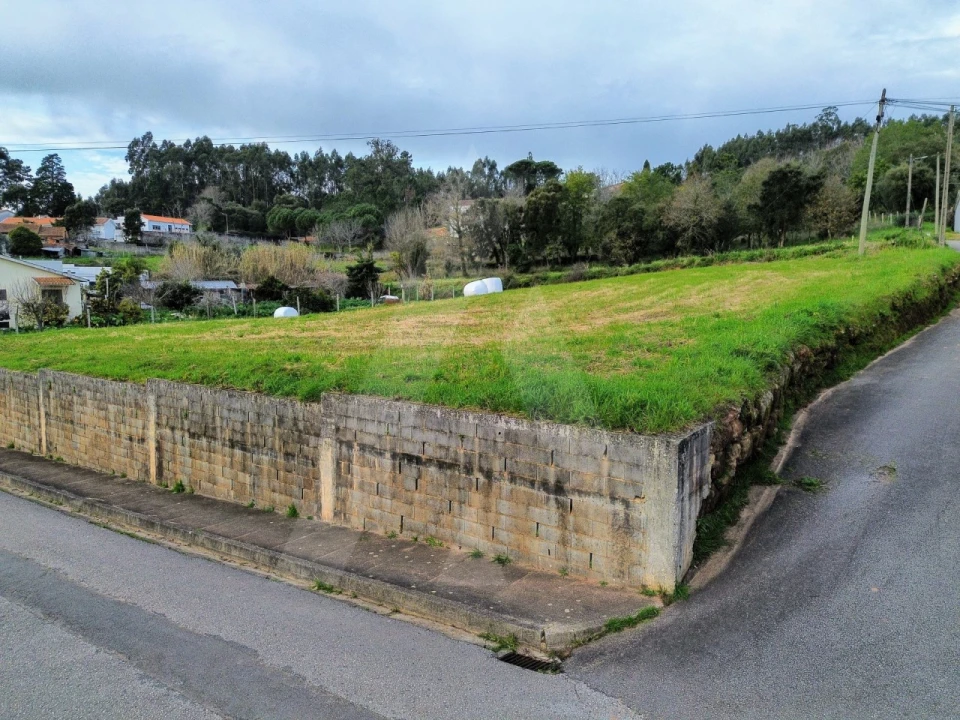 Terreno para Venda em São João de Loure e Frossos Foto 13