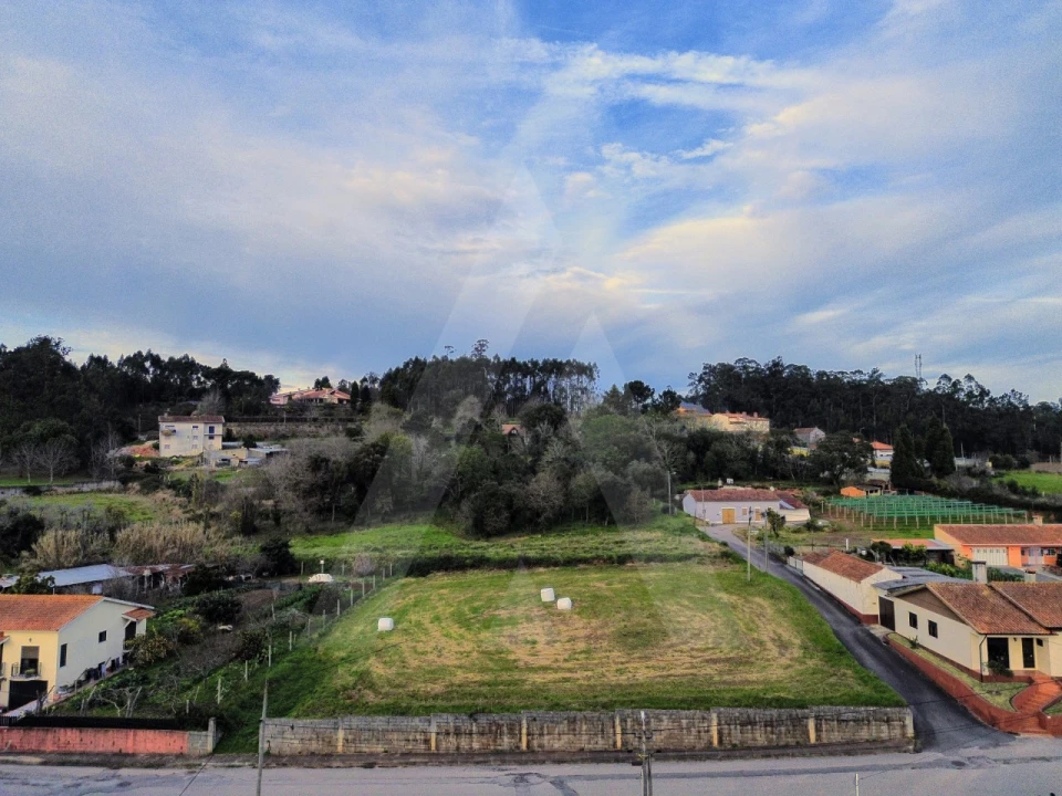 Terreno para Venda em São João de Loure e Frossos Foto 14