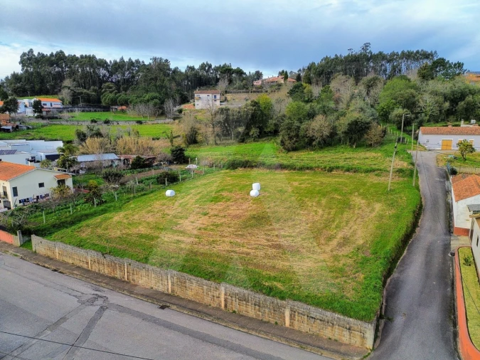 Terreno para Venda em São João de Loure e Frossos
