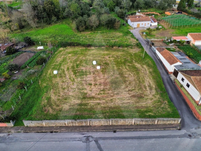 Terreno para Venda em São João de Loure e Frossos Foto 2